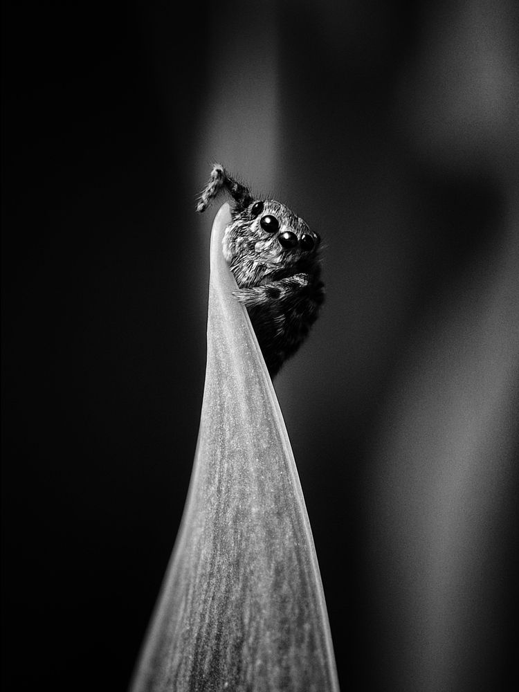 Photograph by Андрей Васильев