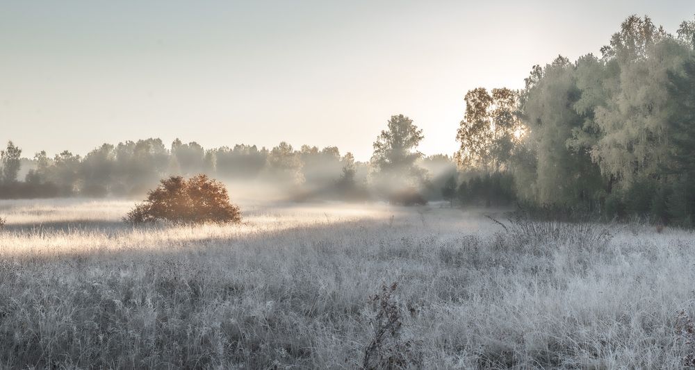 Ночь была прохладной...