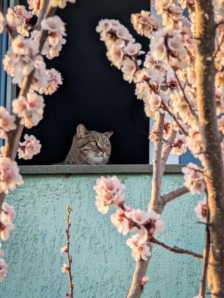 Photograph by Ишниязов Марсель