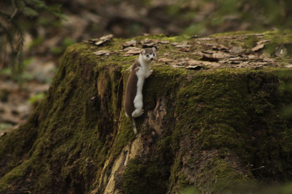 Photograph by Илья Беликов