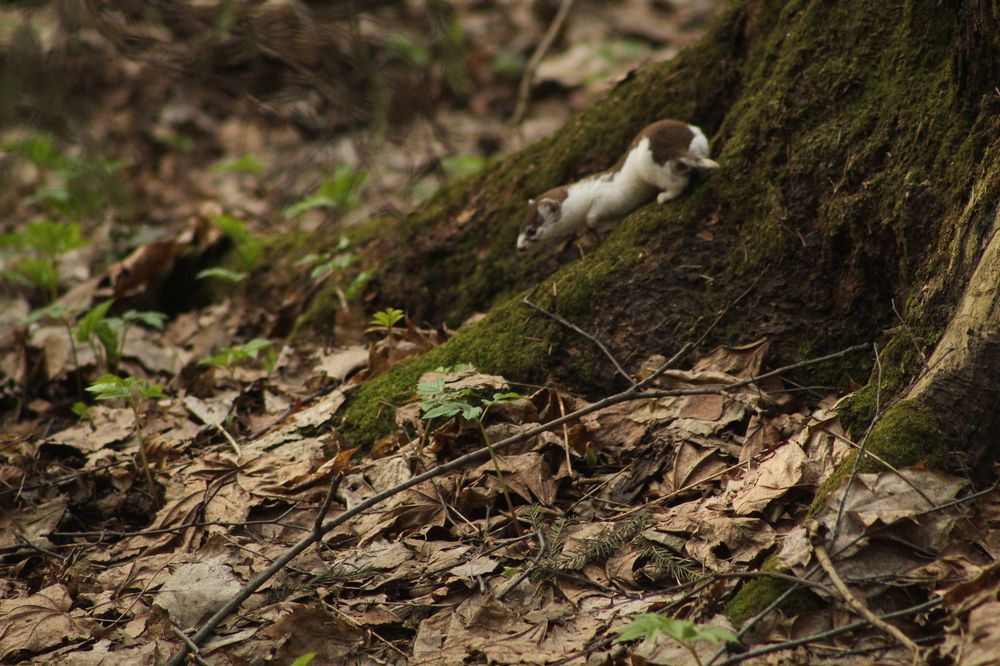 Photograph by Илья Беликов
