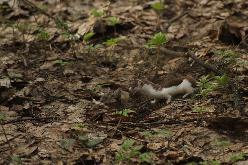 Photograph by Илья Беликов