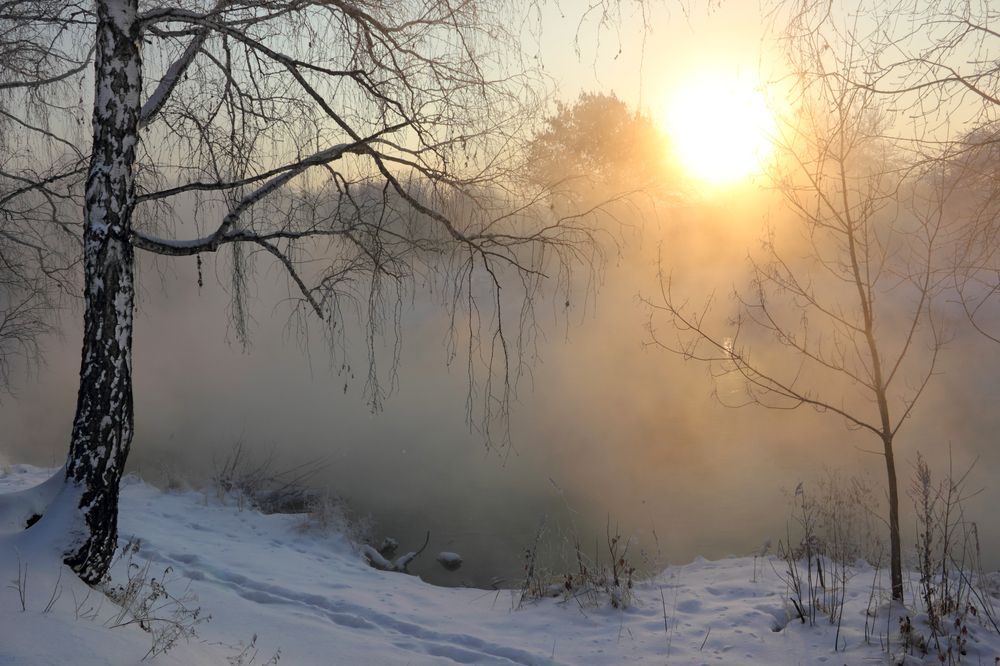 Фотография автора Кухта Мария