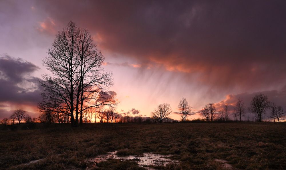 Photograph by Виктория Шажко