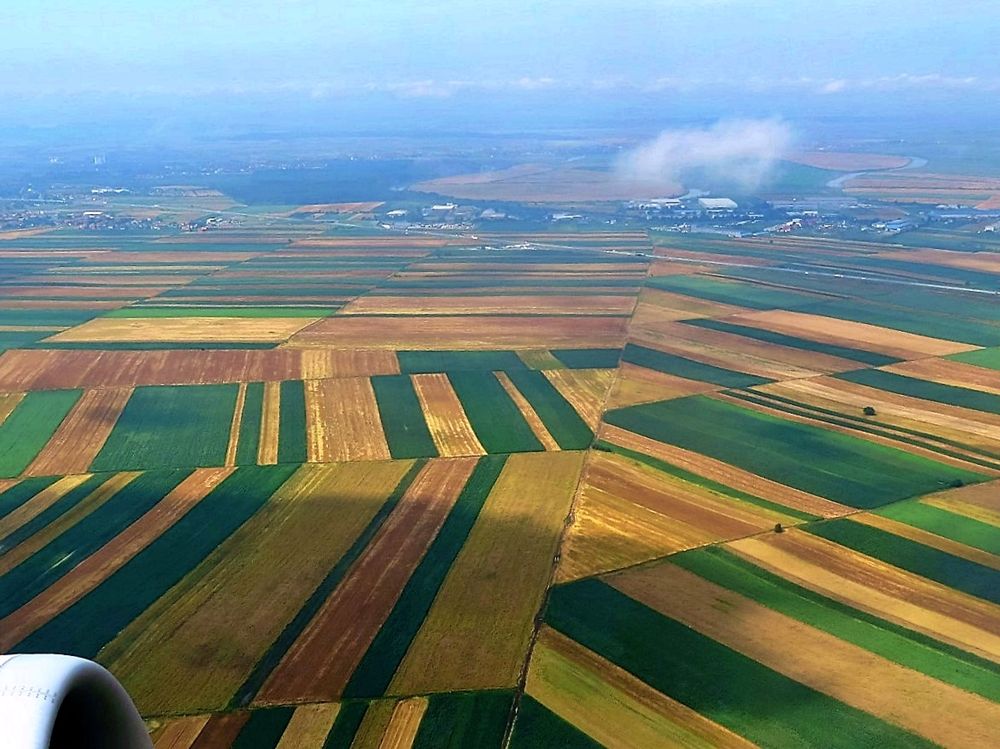 Photograph by Isabel Moreira