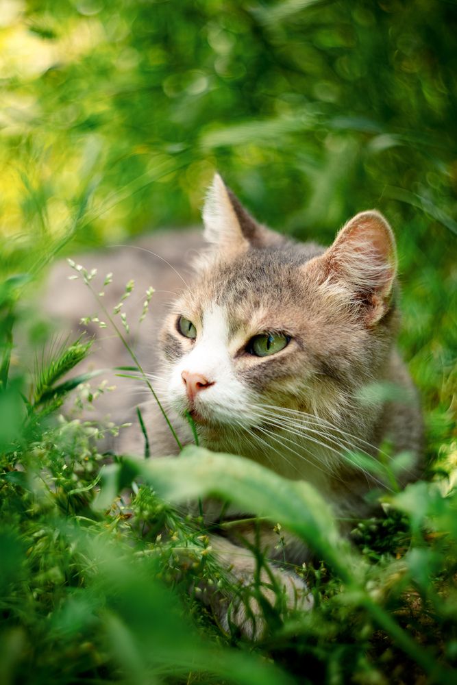 Photograph by Арина Кемишис