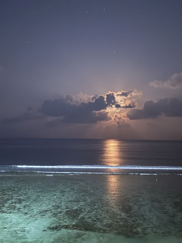 Photograph by Бондаренко Светлана