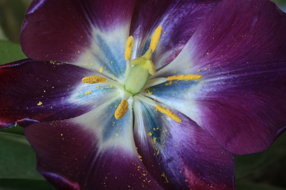 Photograph by Cengiz Yalcin