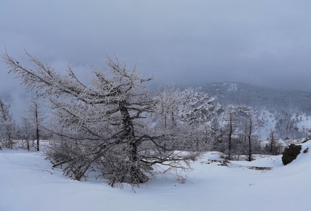 Photograph by Inna Ivanova