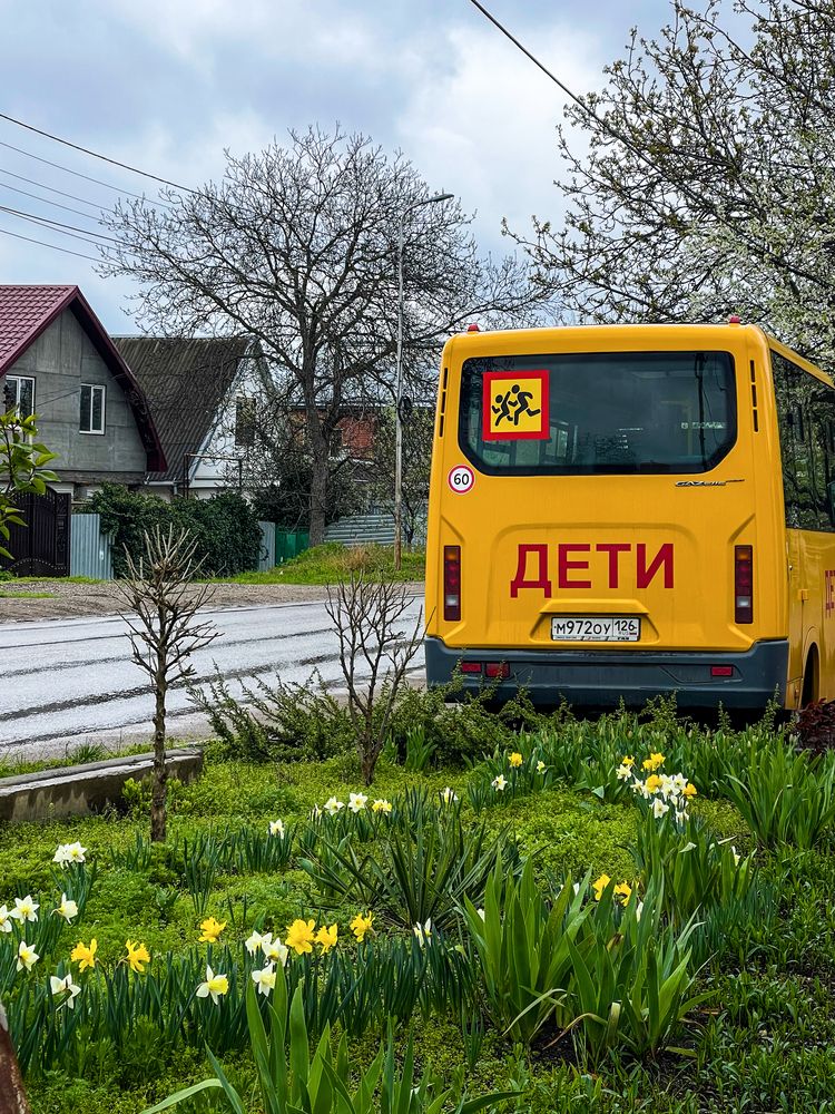 Photograph by Ольга Лазиева