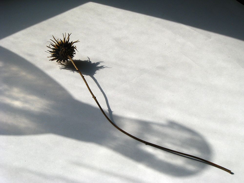 Photograph by Лада Кляузина