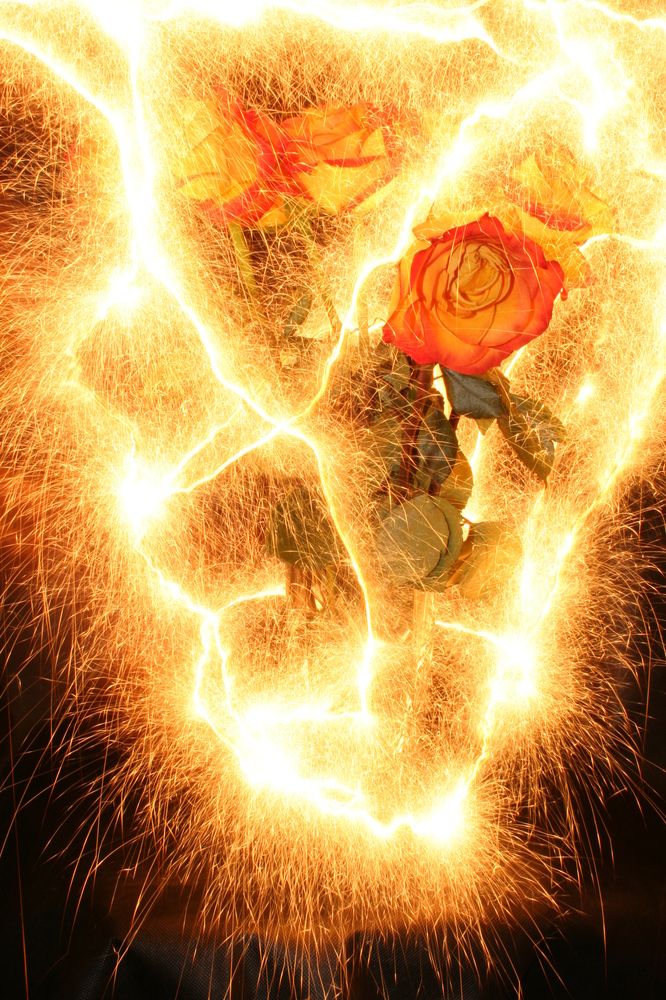 Photograph by Александр Кропп