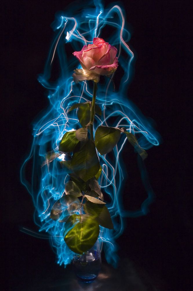 Photograph by Александр Кропп