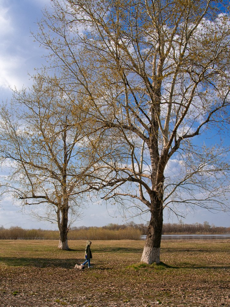 Photograph by Roman  Smetanin