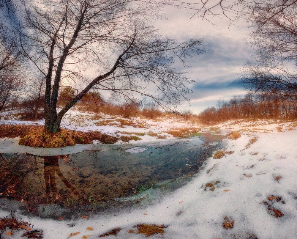 Дыхание весны