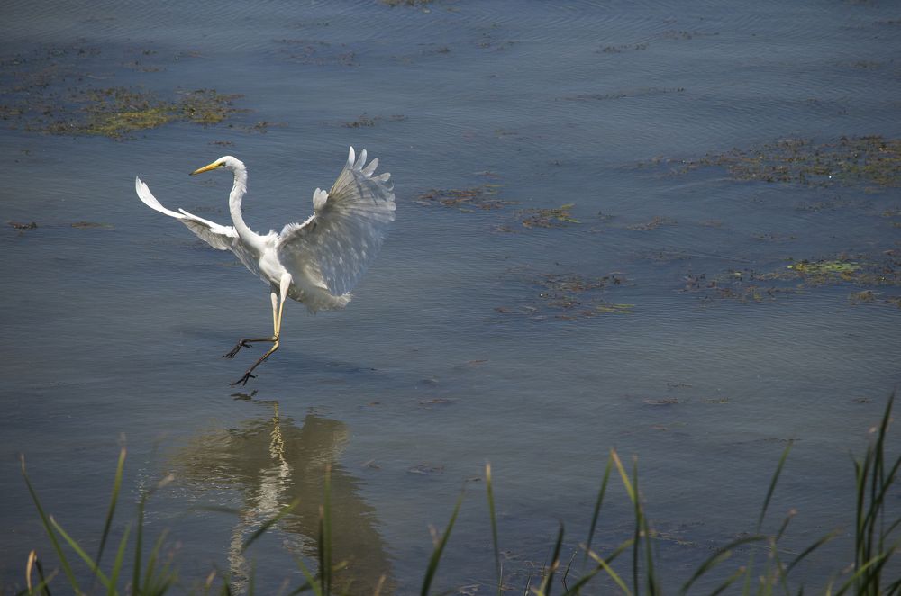 Photograph by Алексей Кашин