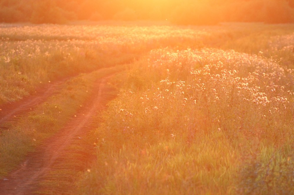 Закат в Волго-Ахтубинской пойме