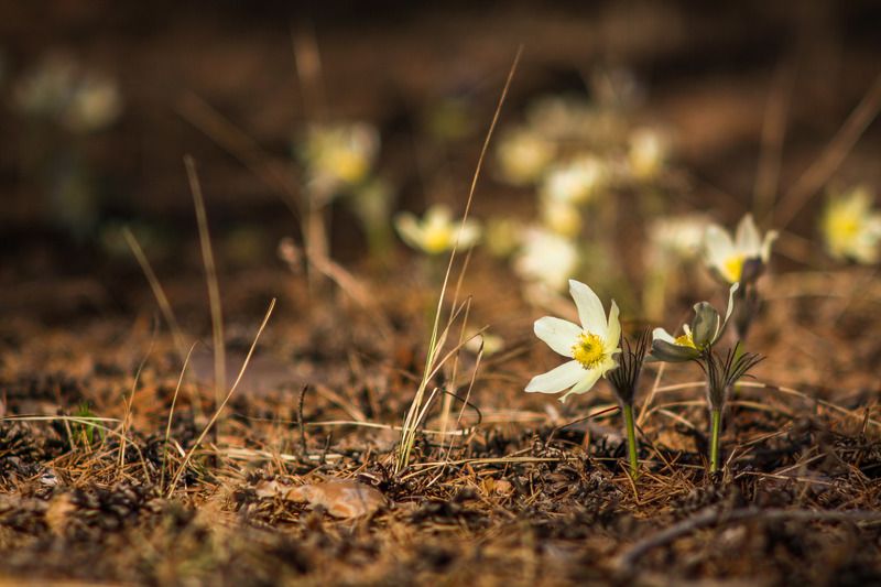 Владимир, Russia