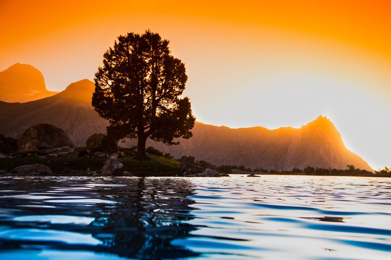 Alisher Primkulov, Russia