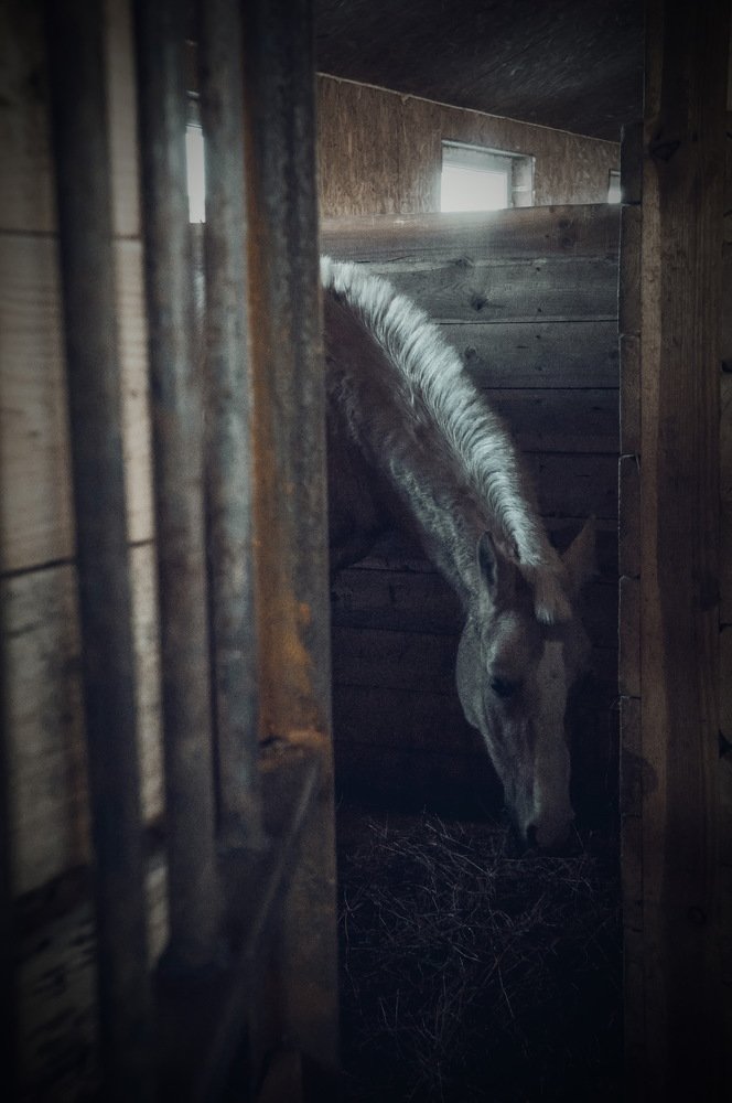 Photograph by Юлия Васильева