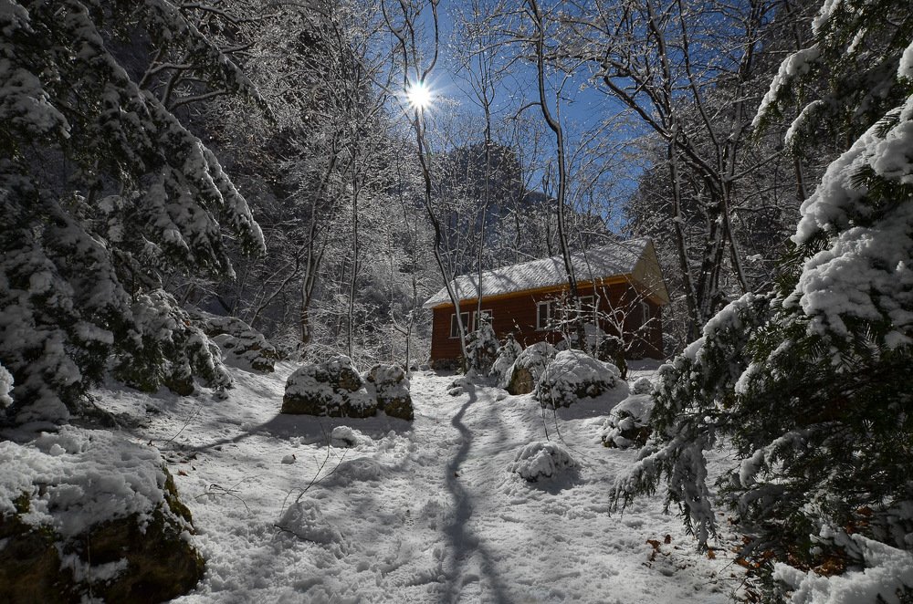 Зимняя сказка