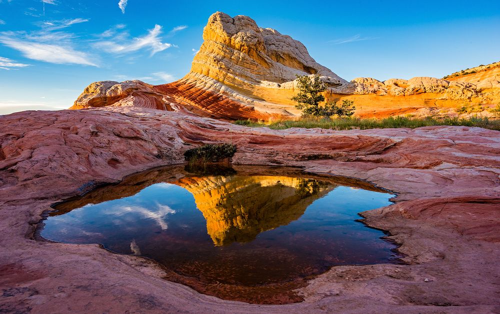 Окаменевшая палитра