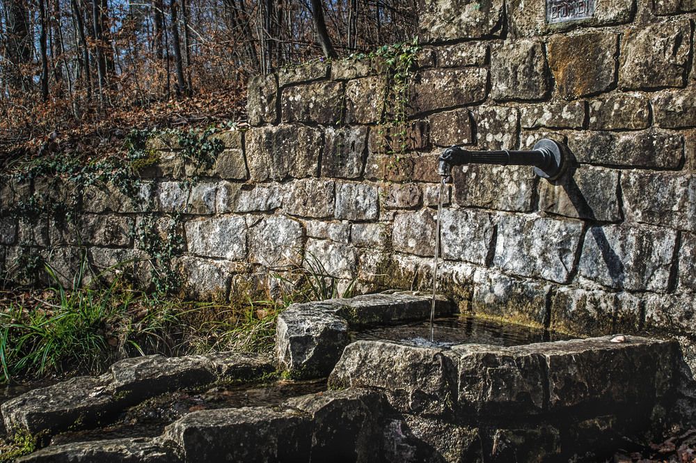 Ручей в лесу