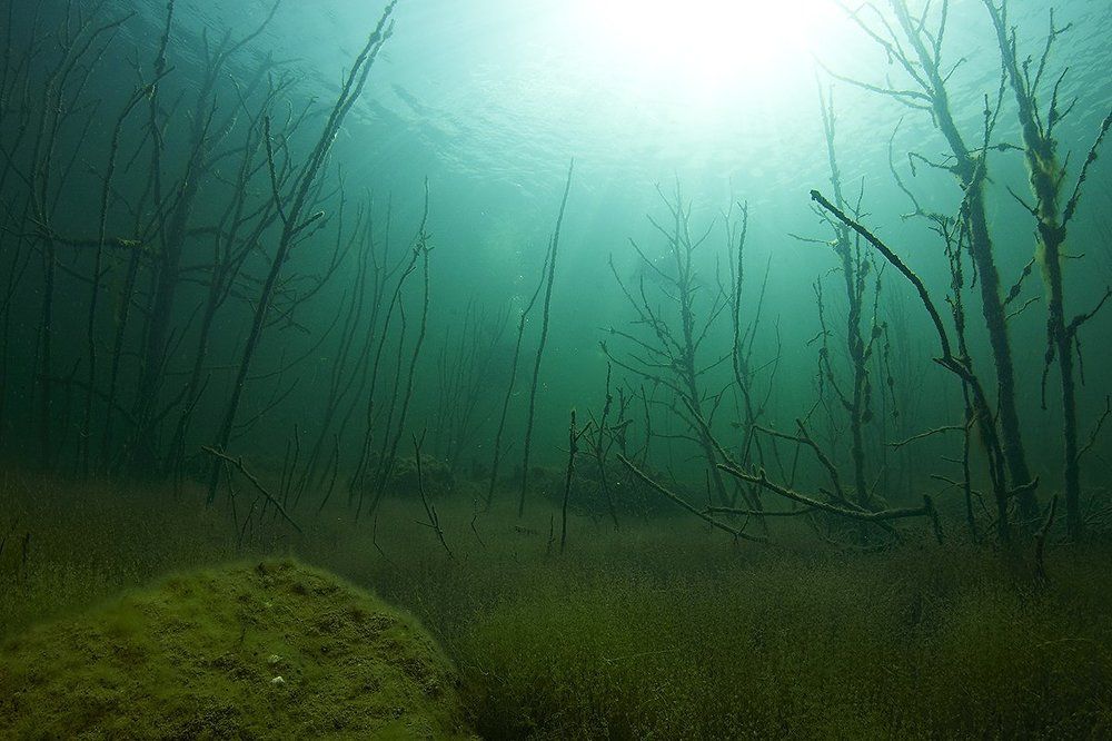 Подводное царство