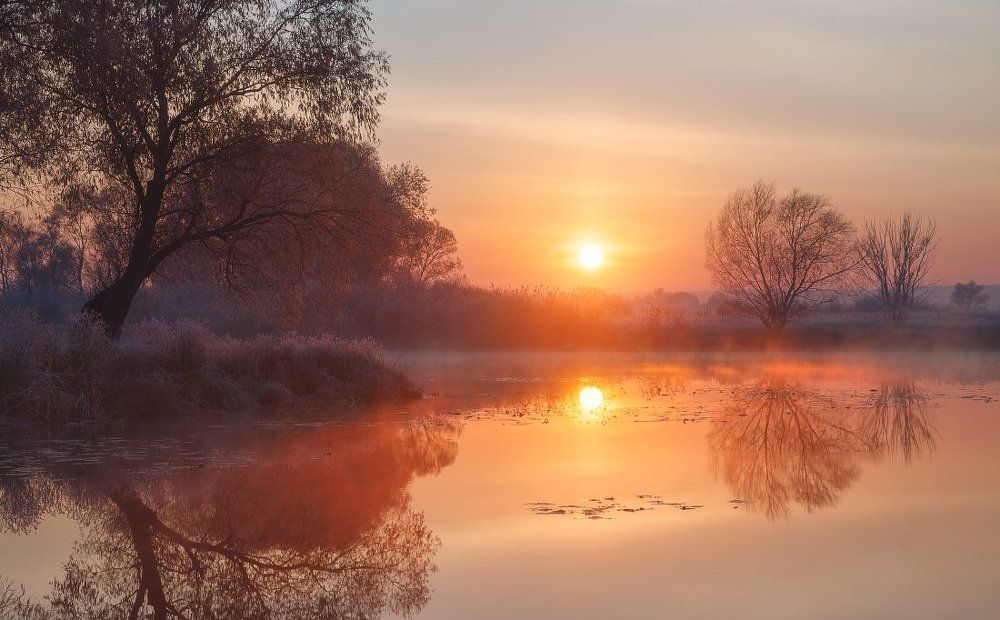 Cпокойное утро