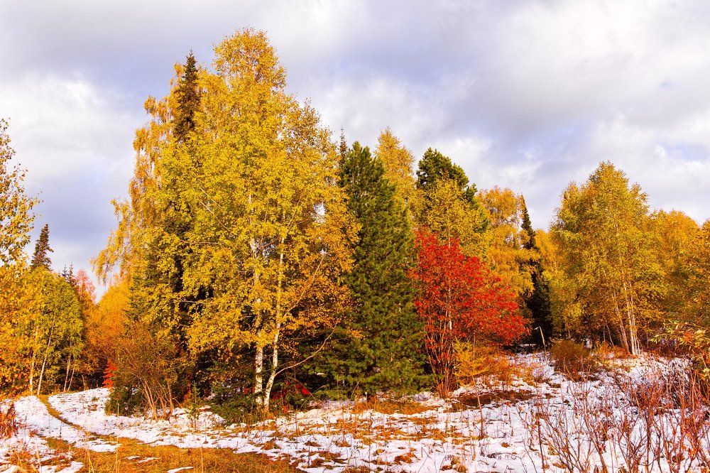 Осень на Ивановском белке