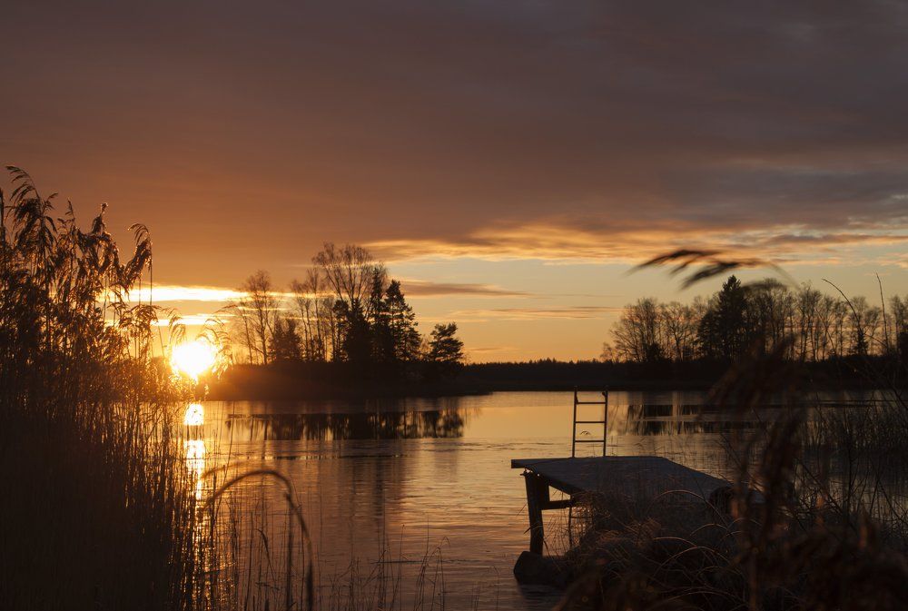 декабрьское утро