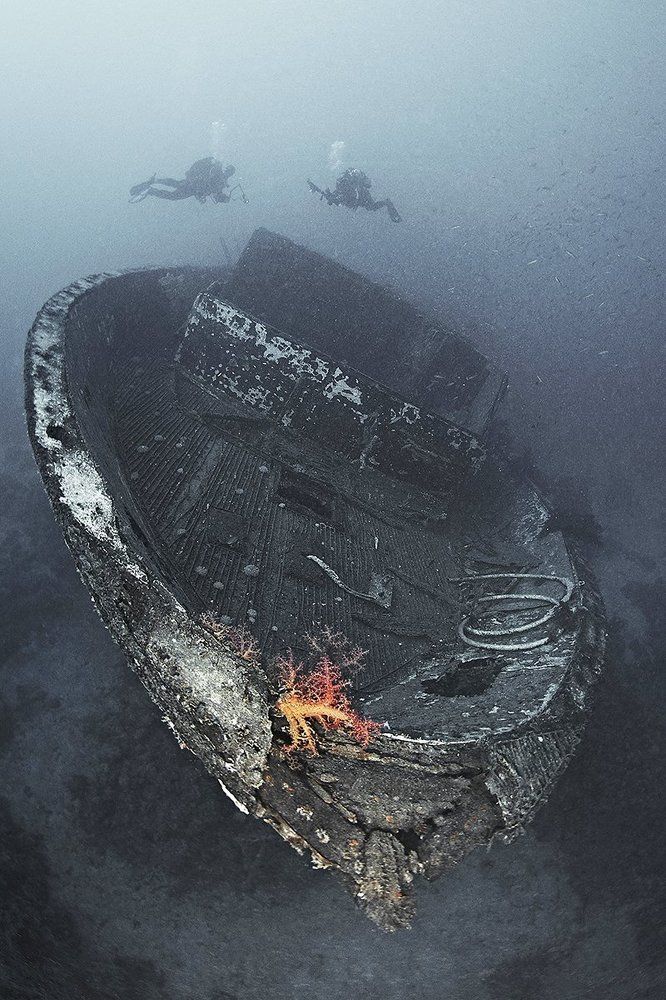 Вторая жизнь