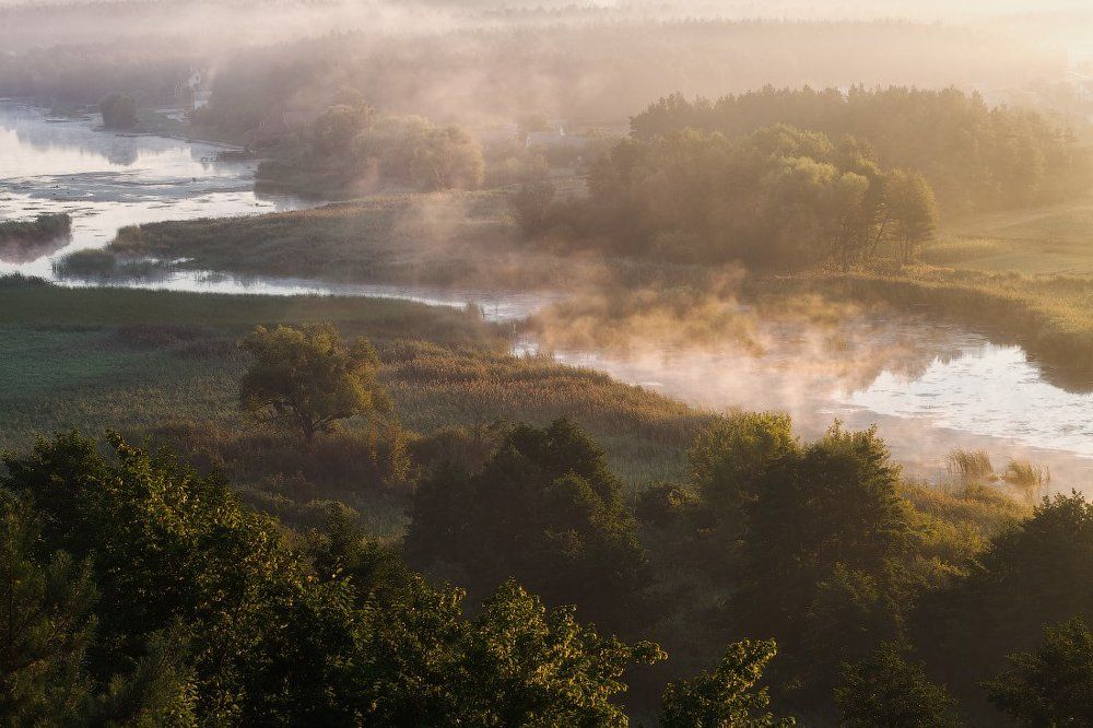 Утренний туман
