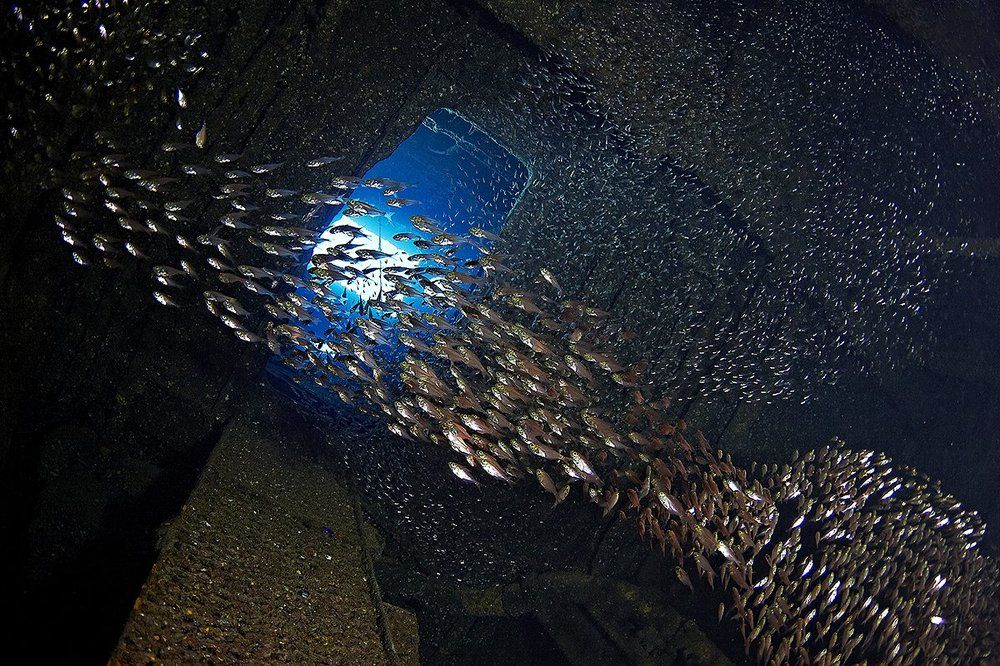 Свет в конце туннеля