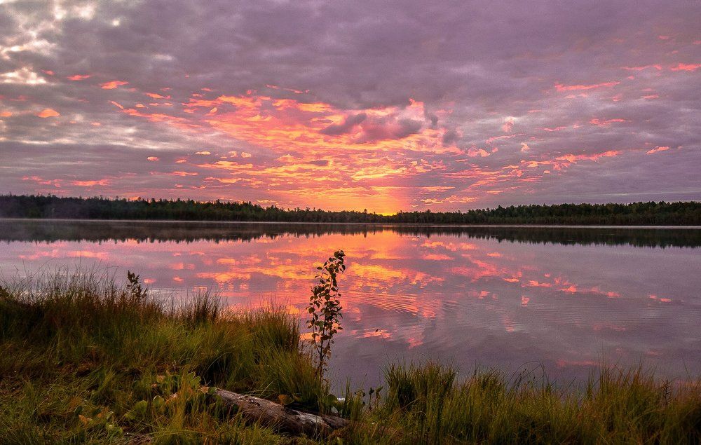 Зеркальный мир