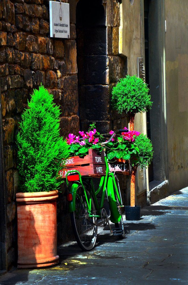 Photograph by Oksana