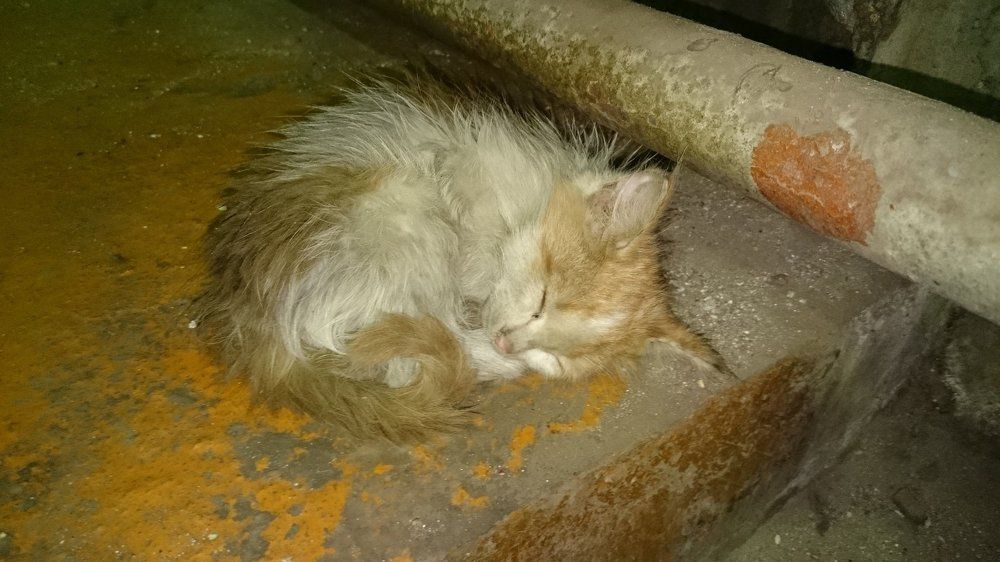 Photograph by Валентин