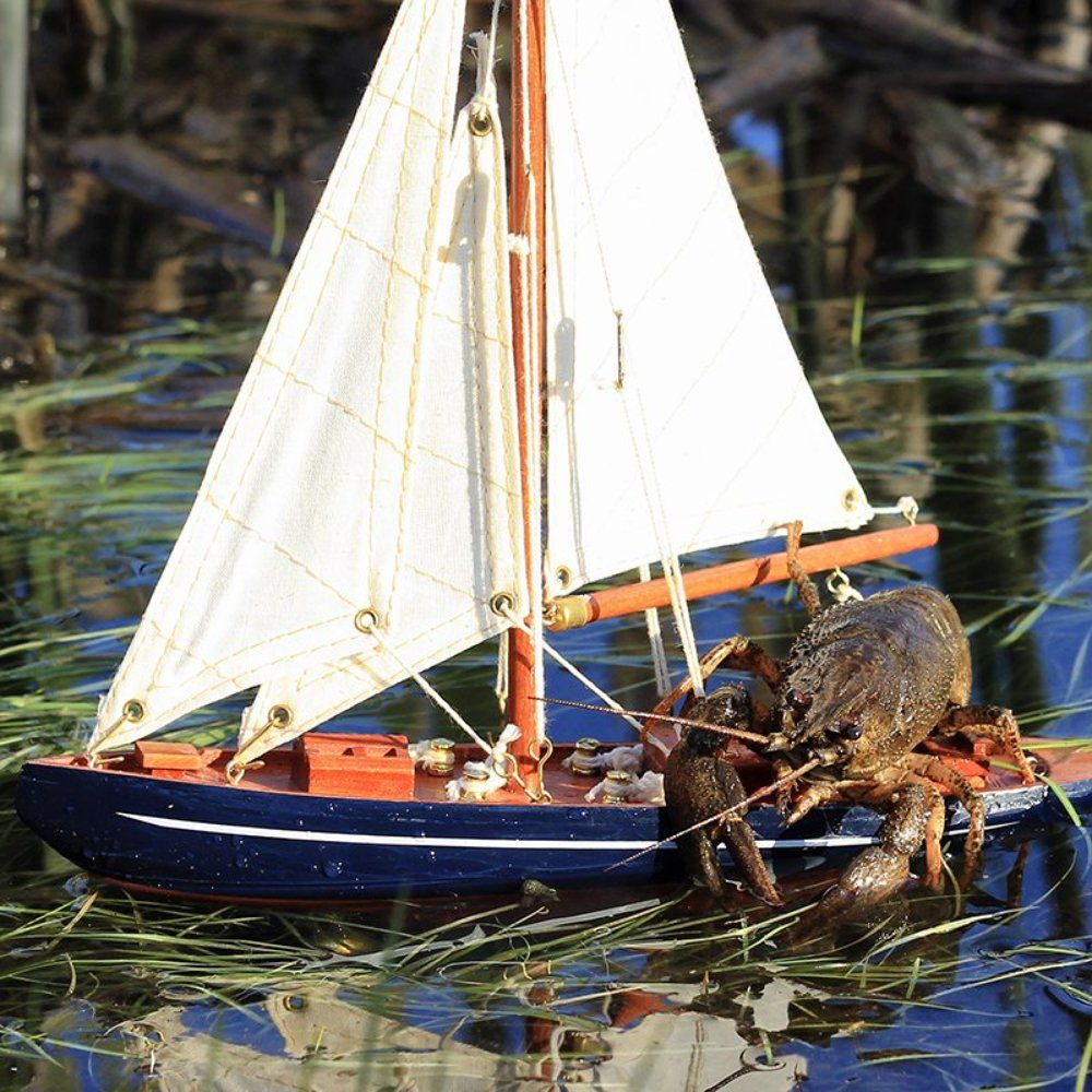 Капитан яхты