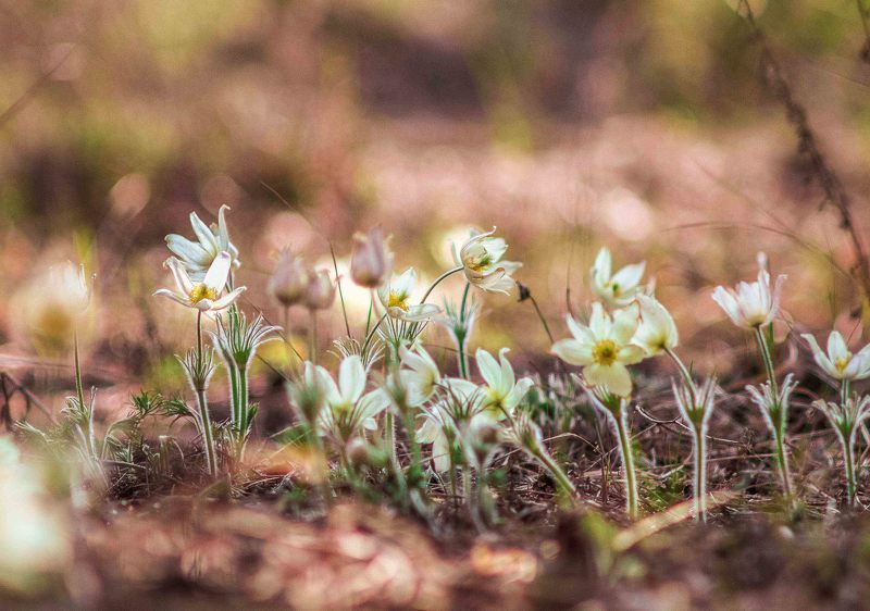 Владимир, Russia