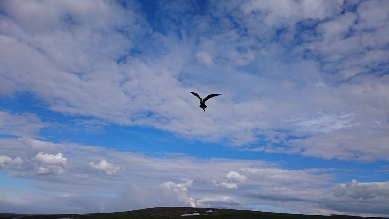 Валентин, Russia