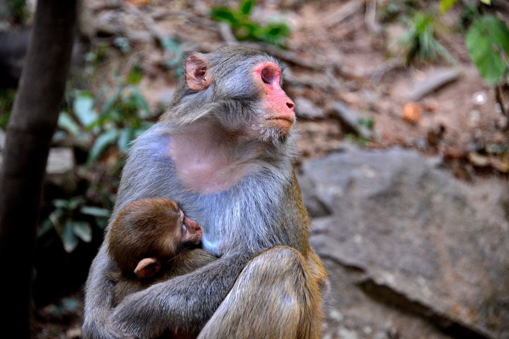 Вдвоём. Минута покоя