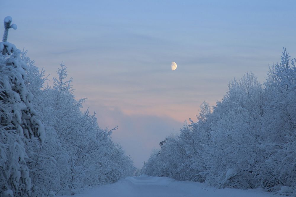 морозная луна