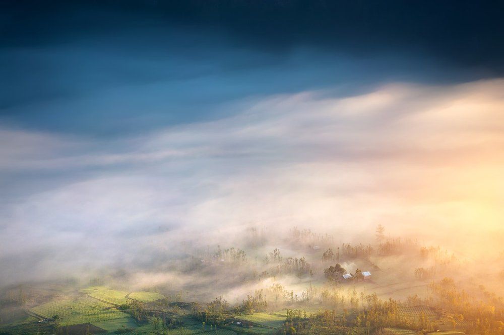 Тумана тихая лазурь