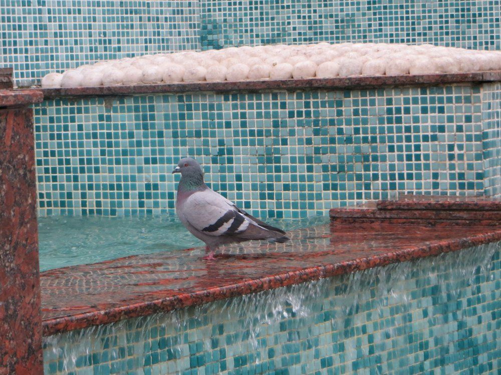 Чистое здоровье.