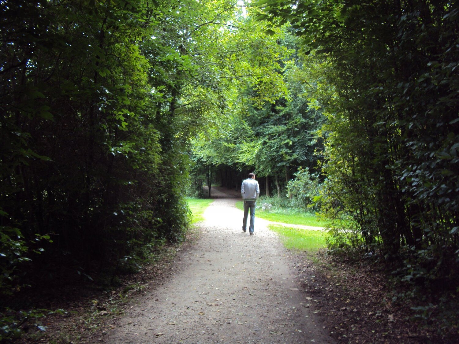 The way of peace