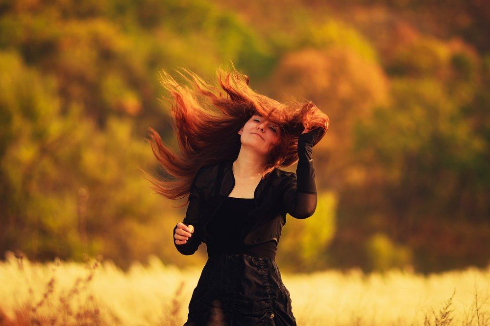 Весёлое безумие