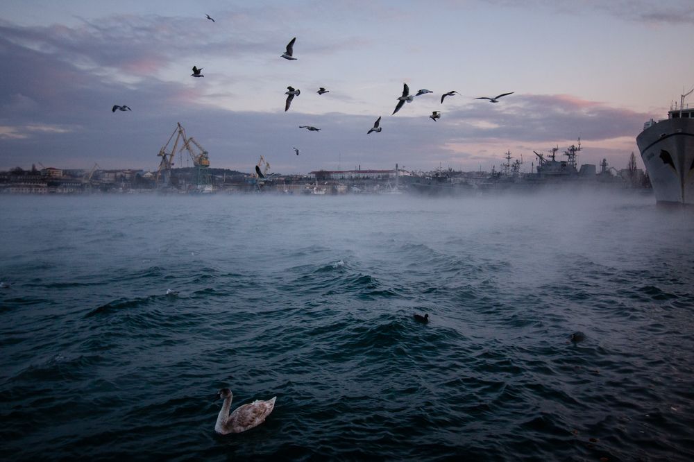 Севастопольская бухта зимой