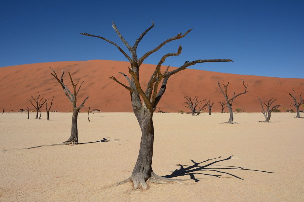 Иные миры...