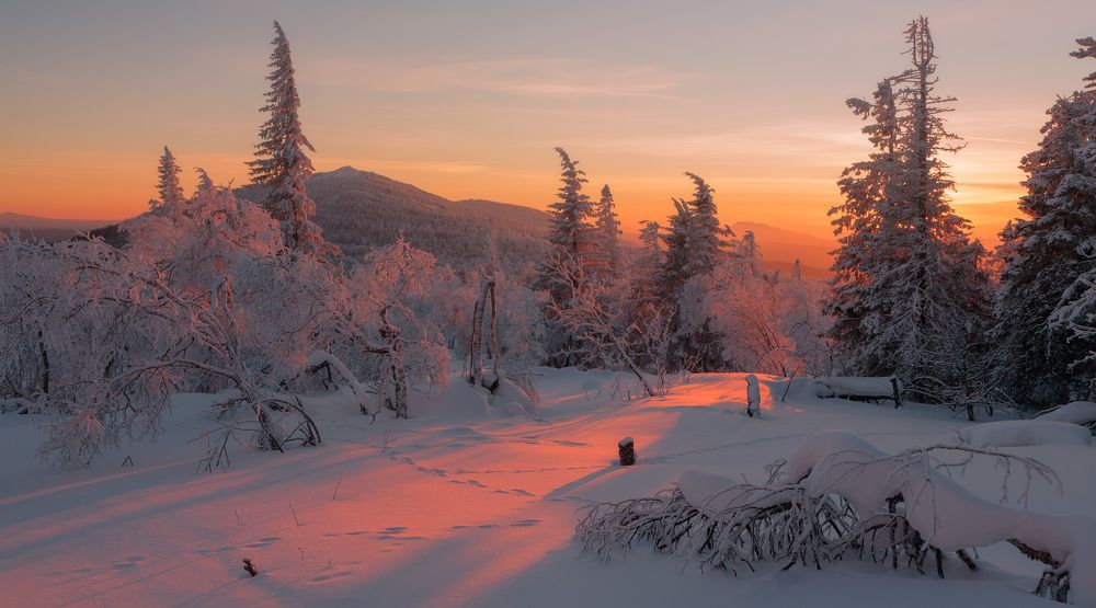 Однажды вечером