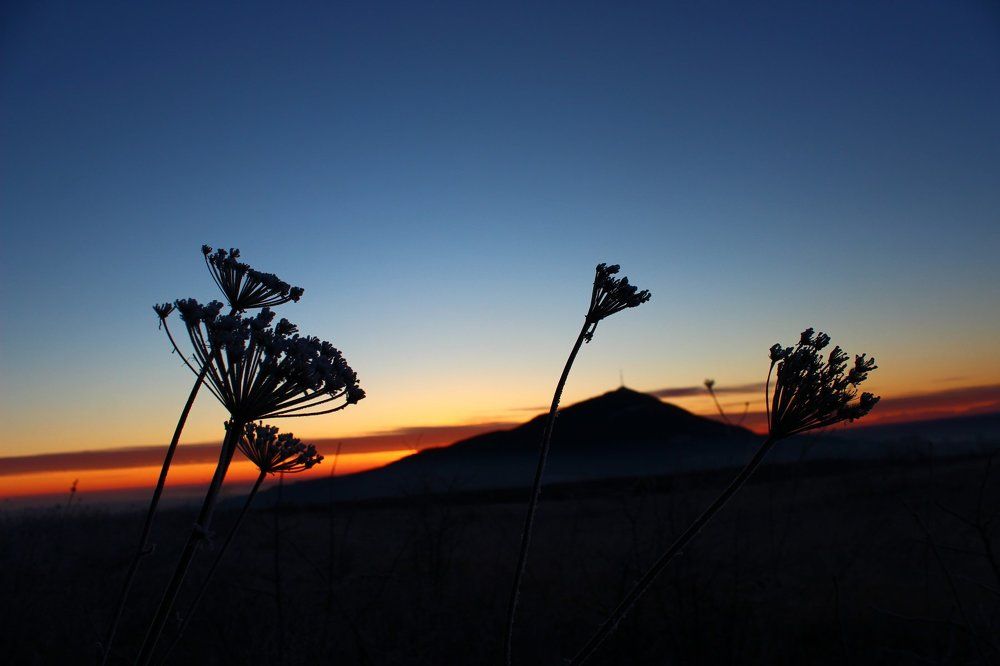 Photograph by сергей